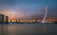 Erasmusbrug