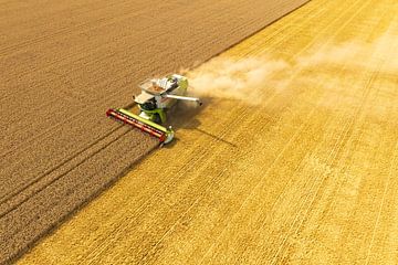 Combaine oogst tarwe in de zomer van bovenaf gezien