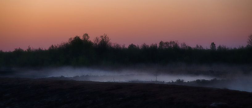 Weiße Titten in den Bargerveen. von Miny'S