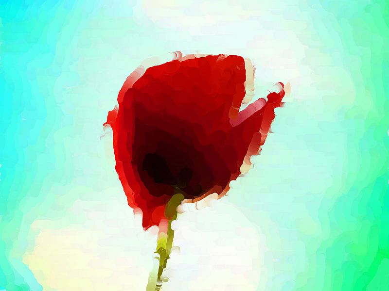 Poppies grow by Judith Robben