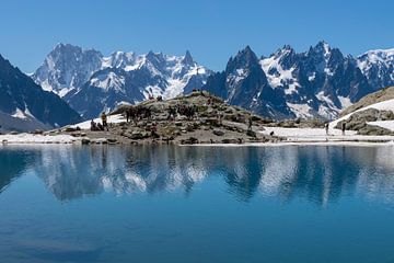 Lac Blanc met weerspiegeling en besneeuwde bergen van Linda Schouw