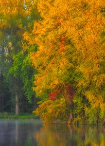 Kalme herfst ochtend