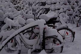 FIETS 2 van Miroslav Ptacek