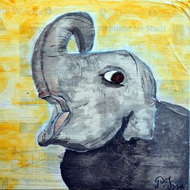 Dumbo von Patricia Jaqueline