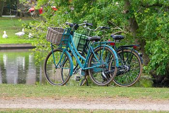 fietsen bij het park