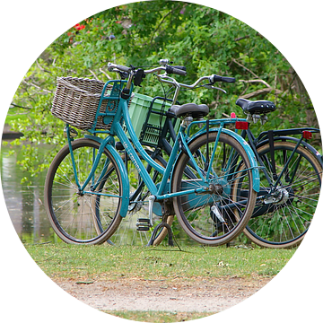 fietsen bij het park van tiny brok