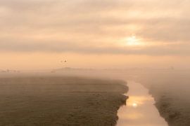 Le brouillard matinal près du Flevopolder sur Hans de Waay