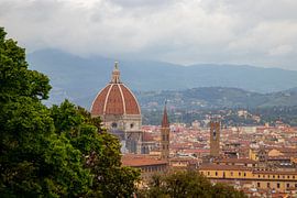 Die schöne Skyline von Florenz von Martijn