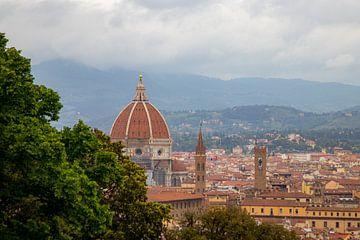 De prachtige skyline van Florence van Martijn