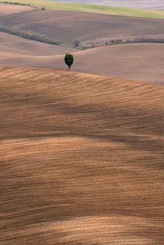L'automne en Toscane