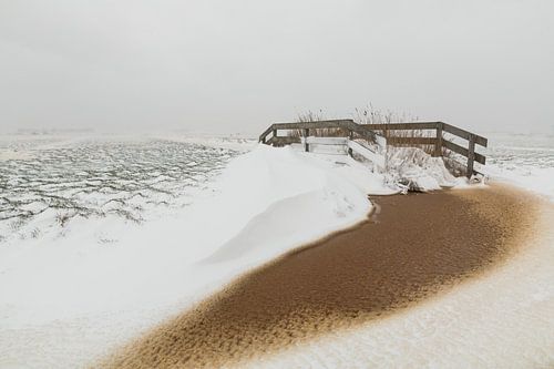 Verschneite holländische Wiesenlandschaft