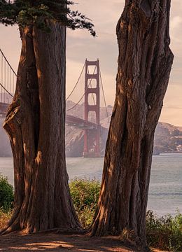 Golden Gate Bridge van Photo Wall Decoration