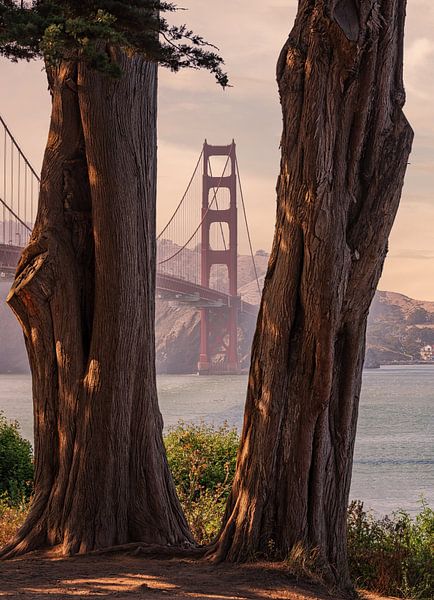 Golden Gate bridge van Photo Wall Decoration