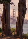 Golden Gate bridge van Photo Wall Decoration thumbnail