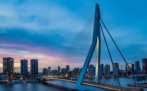 Skyline en Erasmusbrug in Rotterdam van Kimberly Lans