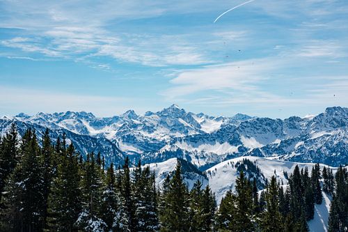 Winters uitzicht in de verte op de Allgäuer Alpen en de Hochvogel