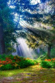 Märchenhafte Landschaft von Truckpowerr