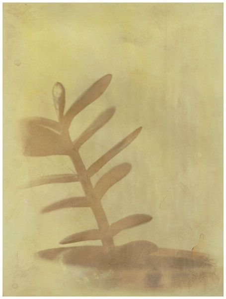 Arbre à caoutchouc version 02 par Johannes Wobus