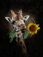 De zonnige Giraffe