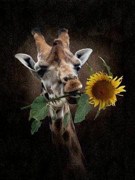 La Girafe ensoleillée sur Babette van den Berg