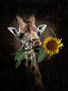 The sunny Giraffe by Babette van den Berg thumbnail