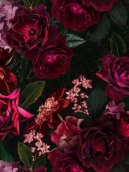 Botanischer Mitternachts Sommer Rosengarten