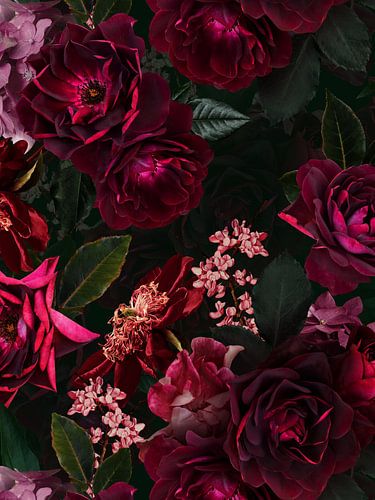 Botanischer Mitternachts Sommer Rosengarten