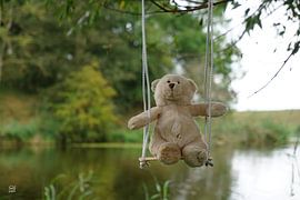 Bär auf Schaukel am Baum