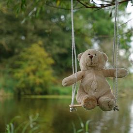 Bear on swing on tree by Sailographic Paula