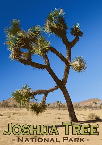 Vintage poster, Josua Tree National Park, Californië, Amerika