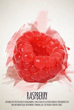 Fruities Raspberry by Sharon Harthoorn