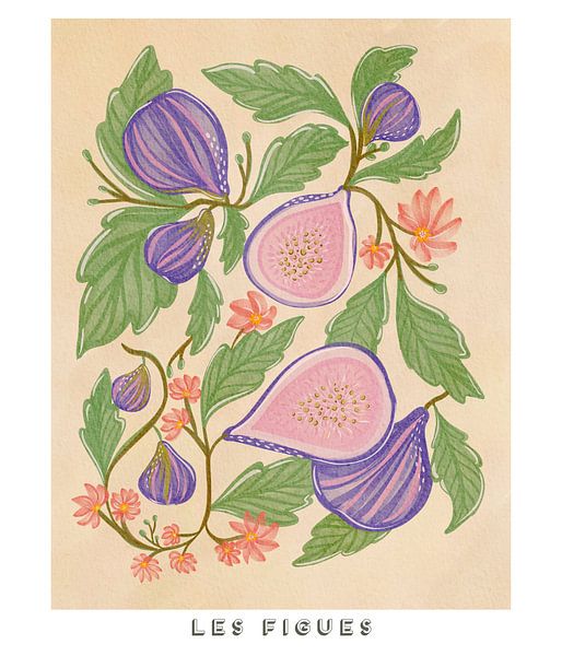 Illustration de figues et de fleurs par Nikita Jariwala