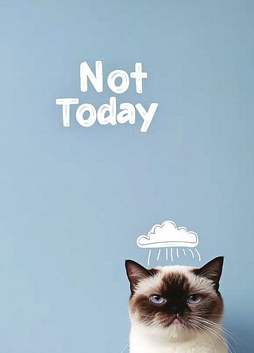 Not Today