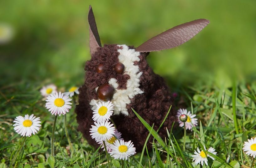 cute rabbit, made of pompons, sitting in the lawn by SusaZoom