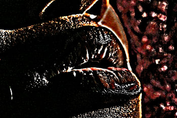 Sensual Darkness