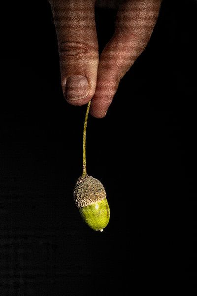 Herbst in der Hand von Daisy Renders
