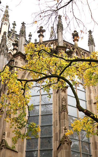 Autumn St.John Cathedral by Christel Smits