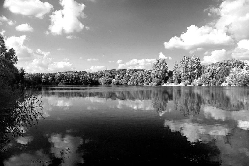 Spiegelung von Norbert Sülzner