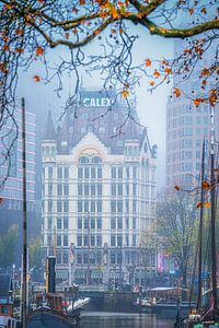 Das Weiße Haus, in Rotterdam