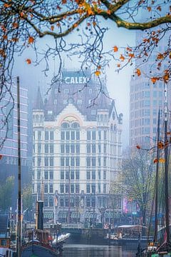The White House, in Rotterdam by Leon Okkenburg
