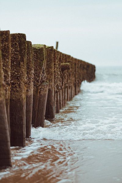 Brise-lames Domburg par Andy Troy