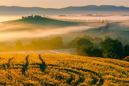 Zonsopkomst Poggio Covili, Val d'Orcia, Toscane, Italië