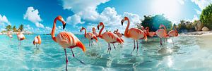 Les flamants roses au paradis - oasis tropicale