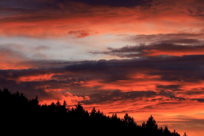Evening in the Black Forest by Thomas Jäger
