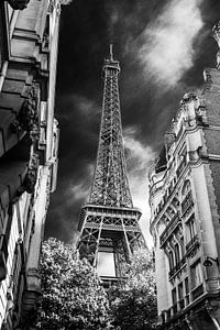 Eiffelturm Paris aus der Allee schwarz-weiß