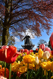 Der Garten im Frühling von Claude Laprise