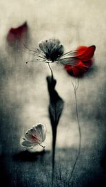 Fragile TENDRESSE sur Preet Lambon