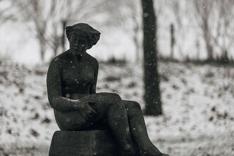 Statue of Veere in the snow by Percy's fotografie
