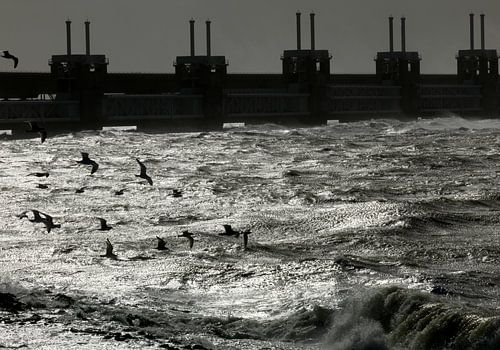 Stormvloedkering Oosterschelde