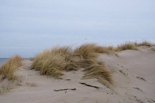 Een sombere dag